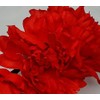 Ukrainian Red Color Flower Headband Vinok