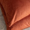 Rythome Set of 2 Comfortable Velvet Throw Pillow Cases Decorative
