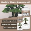 Bonsai Fertilizer – Liquid Plant Food for Healthy Growth, Vibrant