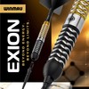 WINMAU Darts - Exion 24g Steel Tip Dart Set |