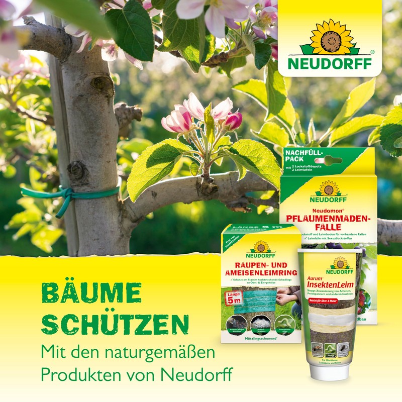 Neudorff 33439 Neudomon Maggot Trap for Plums 1 Set