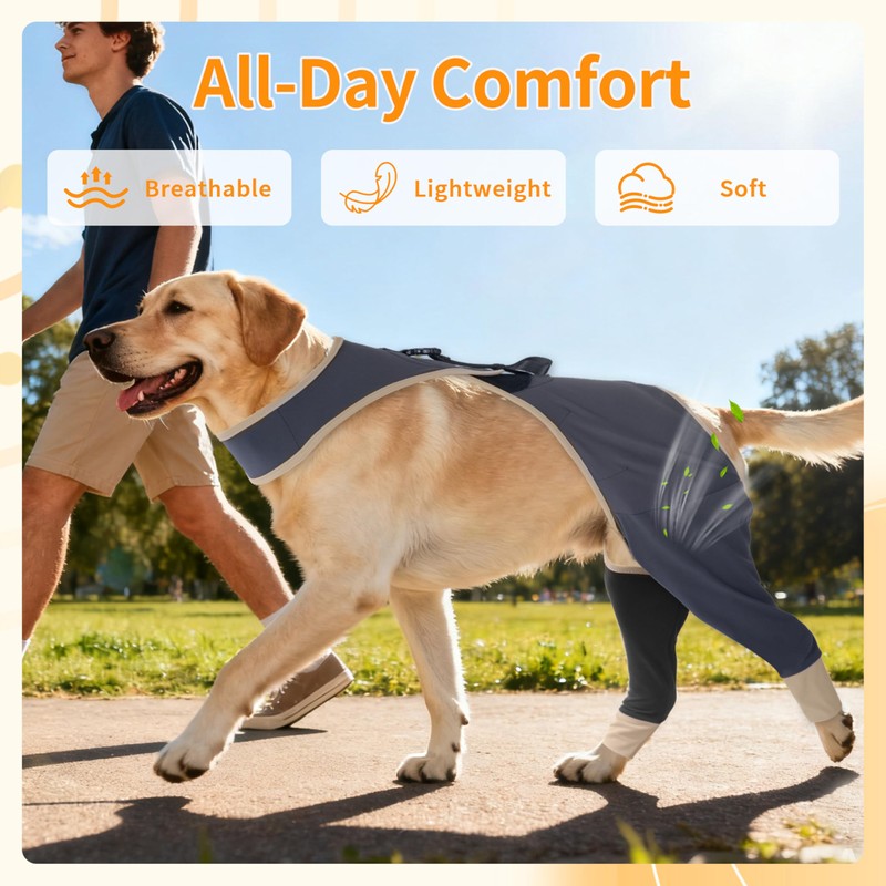 Furtent Dog Sleeve to Prevent Licking for Rear Leg, Cone