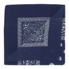 Laciteinterdite Set of 3 Paisley Bandanas for Men and Women,