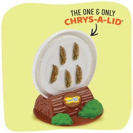 Insect Lore Butterfly Garden Kit with Live Caterpillars – Grow 10 Painted Lady Butterflies | STEM Learning Activity, Habitat with Journal, Stickers, Seeds & Figurines | As Seen on TV