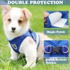 Mumoo Bear Cat Harness and Leash Set, Soft and Breathable