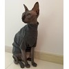 Sphynx Cats Shirt Cat Turtleneck Cotton Sweater Pullover Kitten T-Shirts