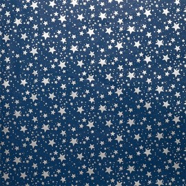 Econo Printed Christmas Tissue Paper, 20 X 30, Silver Stars, Navy Tissue, Packag | Quantity: 240