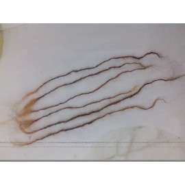 Human hair dread locks 100% Human Hair handmade Dreadlocks 6 pieces 8-14" sisterlock replacement blonde