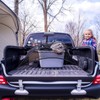 UncleDrew 1.2 x 1.2 m Car Boot Net, Large, Truck