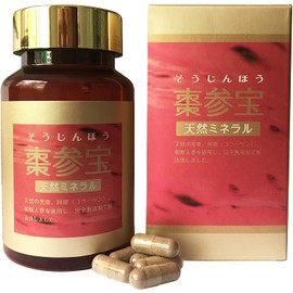 棗 Assistance Treasure (yes, we are better) 250mg X 100 Capsules