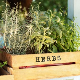 NAKLEO Alphabet Painting Stencils Set 42 Pcs, 14 cm Letters & Numbers Typewriter Capital Font, Reusable Plastic Drawing Templates for Crafts, DIY Wall Floor Wood