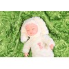 Newborn Photography Props, Use Soft 3D Rose Flower Backdrop Beanbag