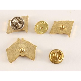 Buddel-Bini Versand Pin Anstecker Flagge Fahne Polen Nationalflagge Flaggenpin Badge Button Flaggen Clip Anstecknadel