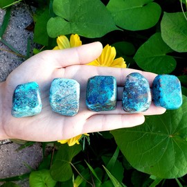 Shattuckite Tumbled & Hand Polished Natural Healing Crystal Gemstone Specimen Stone - 1pc larger