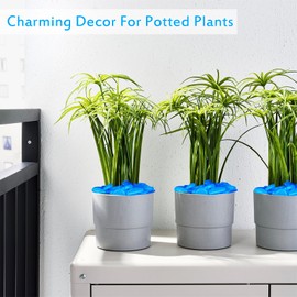 500pc Glow in The Dark Pebbles Outdoor Glow Stones for Driveway Yard Grass Blue Decorative Stones for Garden Glow Rocks for Lawn Landscape Decor,Blue