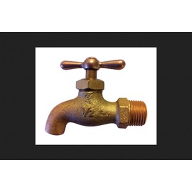 Campbell MIP Brass Ball Sampling Valve