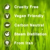 Elemi 100% Pure Essential Aromatherapy Oil 50ml