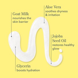 Beekman 1802 Goat Milk Hand Wash, Pure - Fragrance Free - 12.5 oz - Cleanses, Softens & Nourishes Skin - Rinses Away Impurities - Good for Sensitive Skin - Cruelty Free - Ready For Use, Pump Inserted