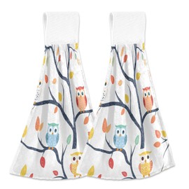 Flradish Owl Hanging Kitchen Towel Set of 2 Super Absorbent Soft Hand Towels for Bathroom Kitchen Coral Velvet Tie Towel for Bathroom Laundry Room Home Decor