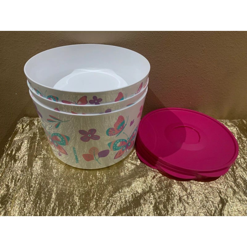 New Tupperware UNIQUE Butterfly & Flowers Theme Ilumina StacknStore Set
