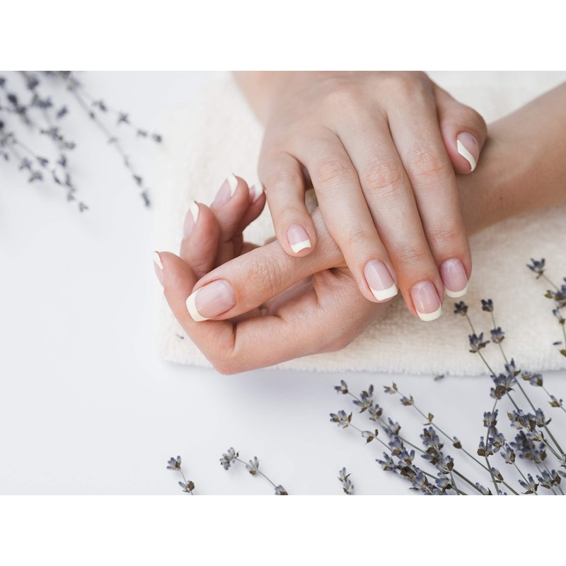 Barefoot Venus Ruby Red Macadamia Oil Hand Cream 1.7 Ounces