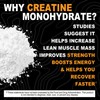 It's Just! - Creatine Monohydrate Powder, Pure Creatine Powder, Made
