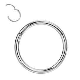 FANSING G23 Titanium Nose Rings 16 Gauge Nose Ring For Women 16g Nose Hoop Silver Septum Jewelry Hinged Septum Ring Clicker Lip Rings Helix Earring Rook 10mm Conch Earrings Cartilage Earring