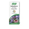 A.Vogel Salviaforce with Echinacea Throat Lozenges Pack of 20 -