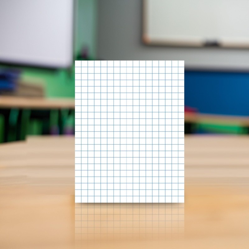 School Smart Graph Paper, 8-1/2 x 11 Inches, 1/10 Inch