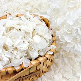 2500+ Real Dried Lvory White Hydrangea Petals - 1.76 oz Preserved Natural Flower Petals for Wedding Decor, Flower Girl, Party Confetti, Dinner Table Centerpieces, Handcrafts