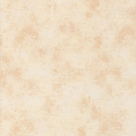 Quilting Treasures Fabrics Rapture Texture Oatmeal