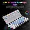ZIFRIEND AG61 60% Layout Mini Gaming Mechanical Keyboard Wired Customized