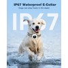 2-in-1 Dog Shock Collar & Dog Bark Collar - Smart