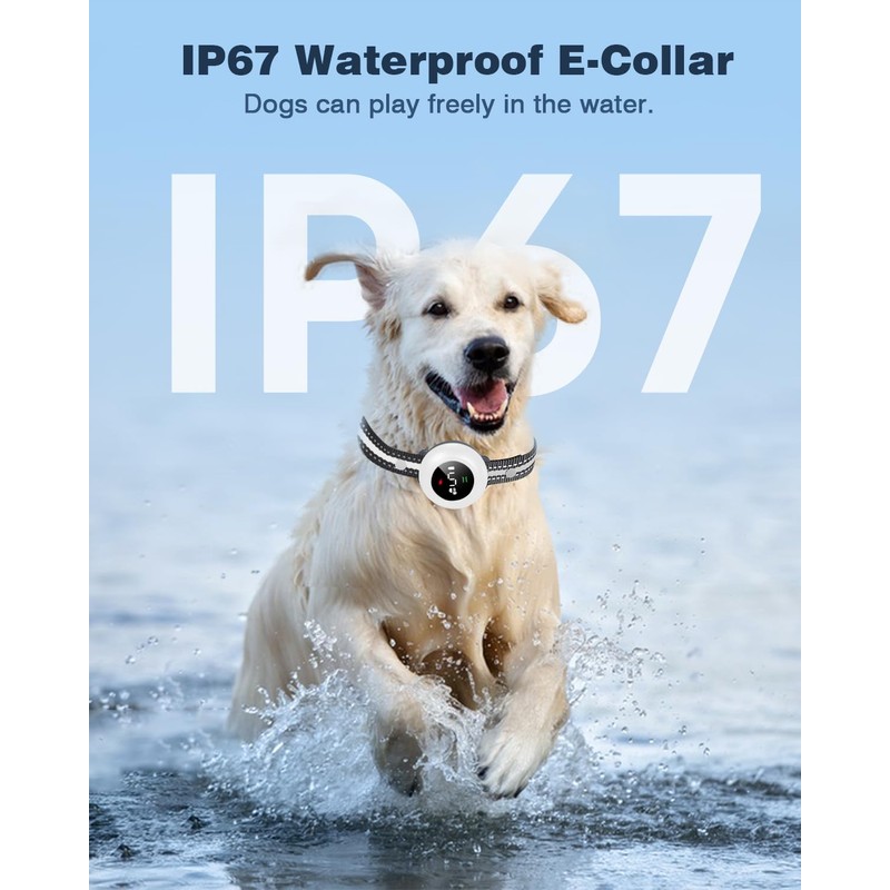 2-in-1 Dog Shock Collar & Dog Bark Collar - Smart