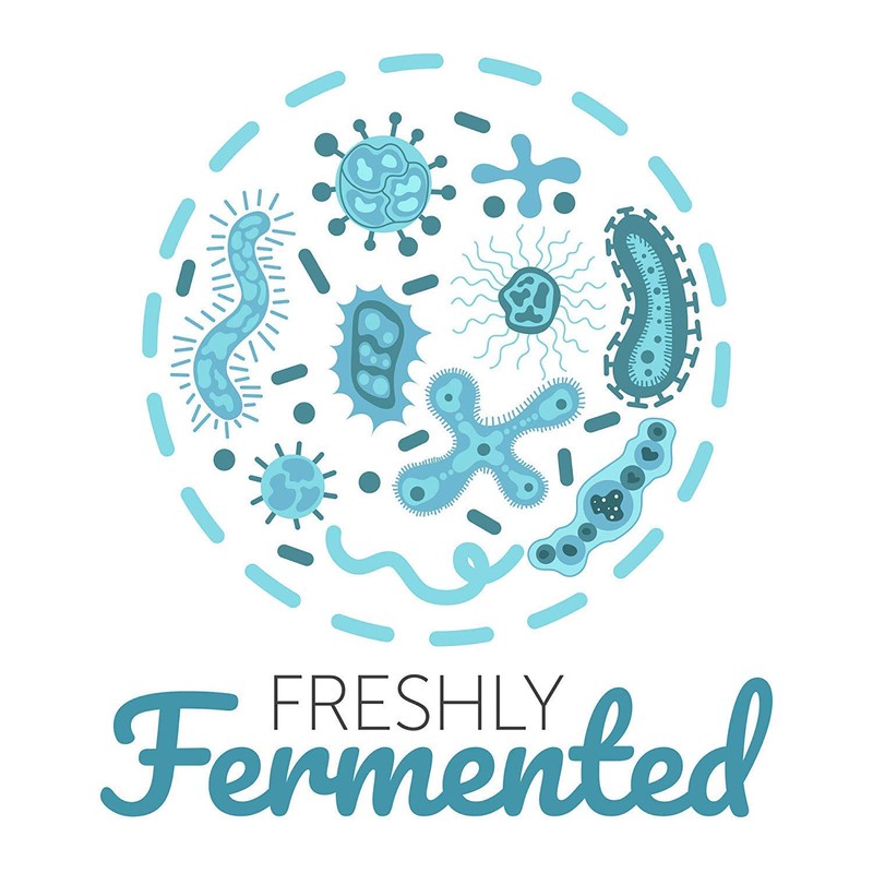 Freshly Fermented – 15g Organic Certified Milk Kefir Grains