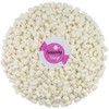 Smarty Stop Marshmallows, Mini Size (3 Pound (Pack of 1))