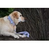 Unique Stlye Paws Strong Dog Leash with Soft & Comfortabel