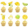 Dtzzou 24pcs Summer Lemon Cupcake Toppers Cute Fruits Cupcake Picks