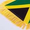 ZXvZYT 2 Pack National Car Window Flag (Jamaica)