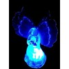 Solaration Frosty Angel Solar Lights (Set of 2)