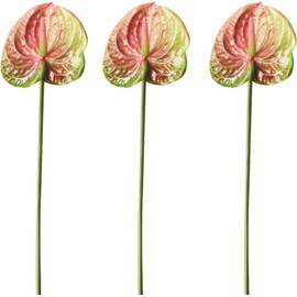 AtHomeYuyue 6pcs Artificial Anthurium Lily Flowers 22" Fake Tropical Flowers for Vase Bouquets Home Office Wedding Decor(Green Pink)