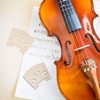 5 PCS Violin Bridge 4/4 Full Size, Finer Grade Solid