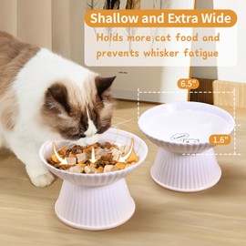 Upgraded 6.5" Extra Wide Ceramic Elevated Cat Bowl, Whisker Friendly Raised Cat Food Bowl for Food and Water, Anti-Vomiting High Cat Dish for Indoor Cats, Dishwasher Safe & Microwaveable