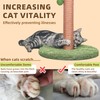 Meowoou Cat Scratching Post 33 Inch Tall Cat Scratcher for