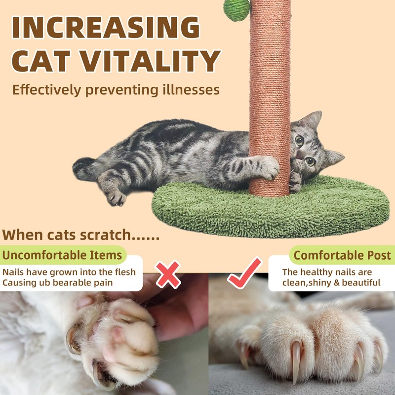 Meowoou Cat Scratching Post 33 Inch Tall Cat Scratcher for