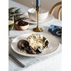 LE TAUCI Dinner Plates 10 Inch, Ceramic Dish Set for