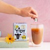 Tidy Tea, Delhi Decaf, 2 x 15 Plastic Free Pyramid