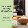 De La Cruz Australian Tea Tree Essential Oil, 100% Pure,