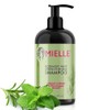 P-Beauty Rosmarin Minze Shampoo, mit Biotin 355ml - stärkendes Haarshampoo