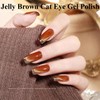 Senvenski Gelee Glas Cat Eye Gel Nagellack mit Magnet 15ML